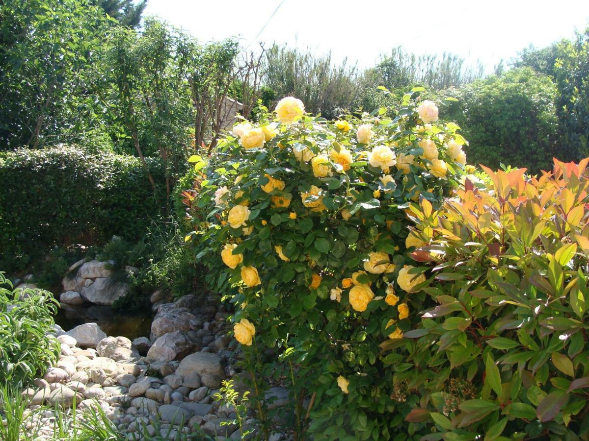 Charmante Maison De Village Cucuron Εξωτερικό φωτογραφία